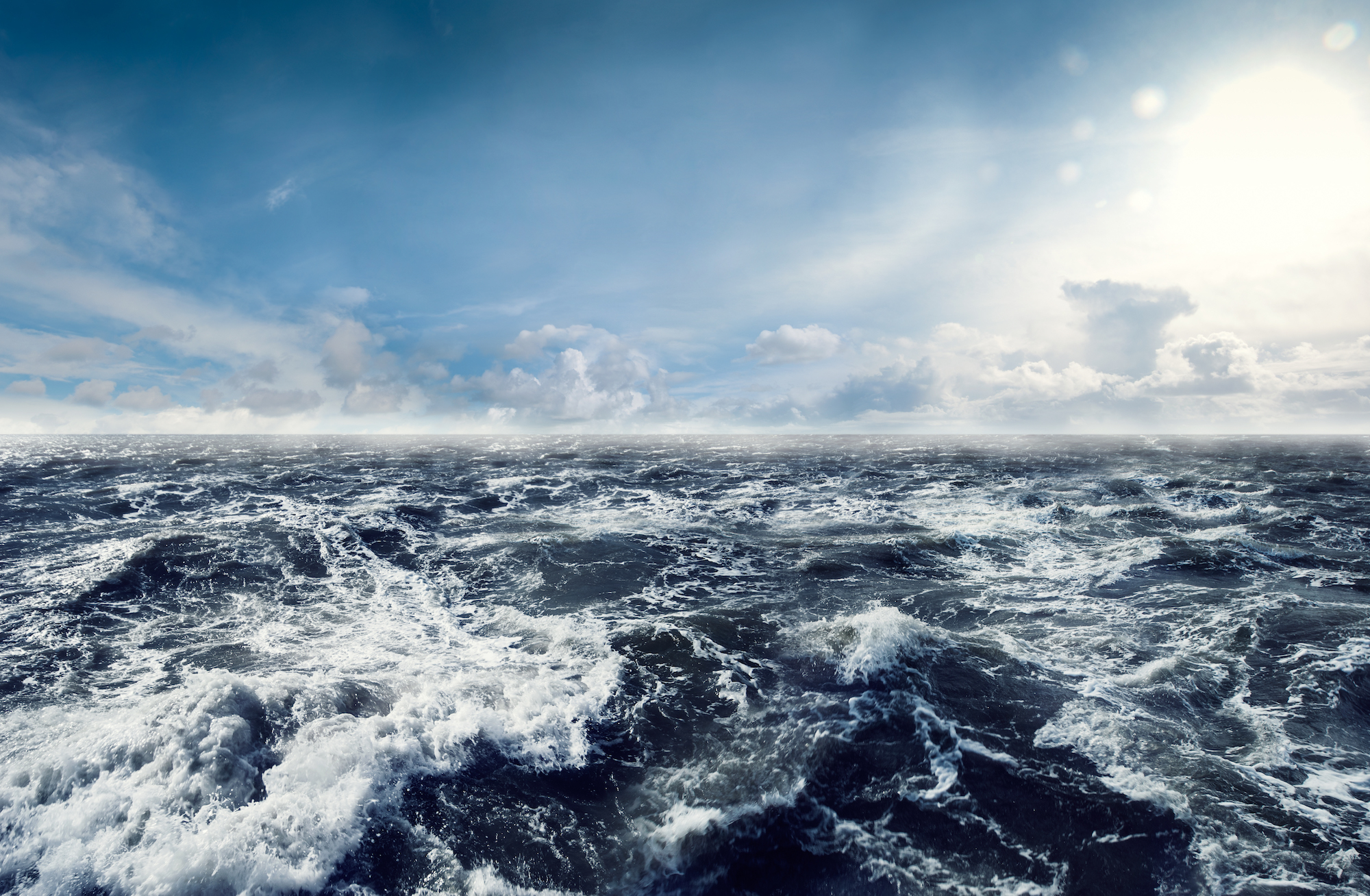 Is entertainment worth the cost to marine mammals?